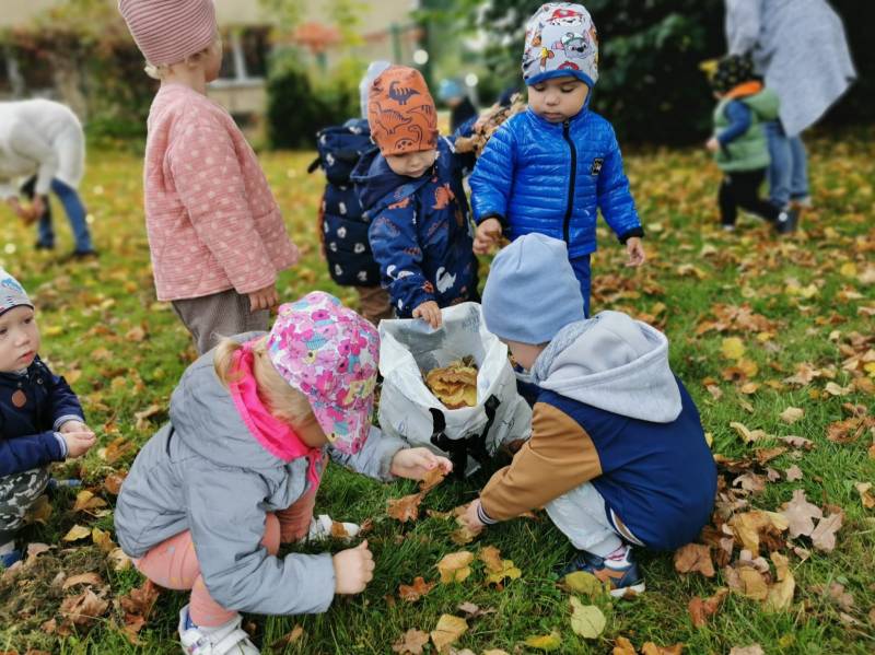 Szukamy darów jesieni